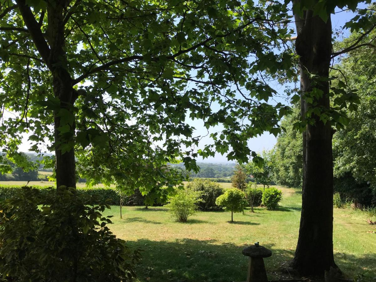 Seven Acre Corner B&B เอกซ์มัธ ภายนอก รูปภาพ